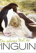 Die geheime Welt der Pinguine