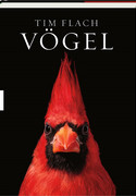 Vögel
